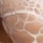 Nacre